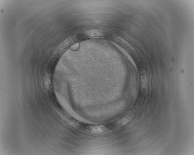 X0000070370618200607072130