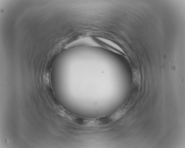 X0000070370621200607072130