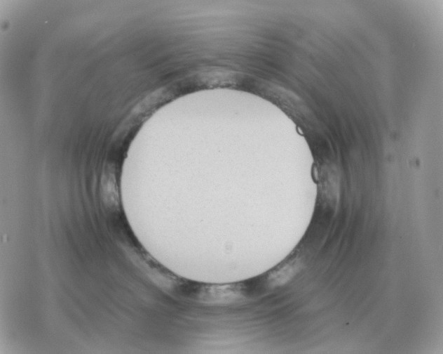 X0000070370622200607072130