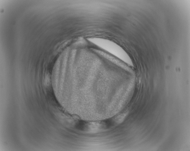 X0000070370623200607072130