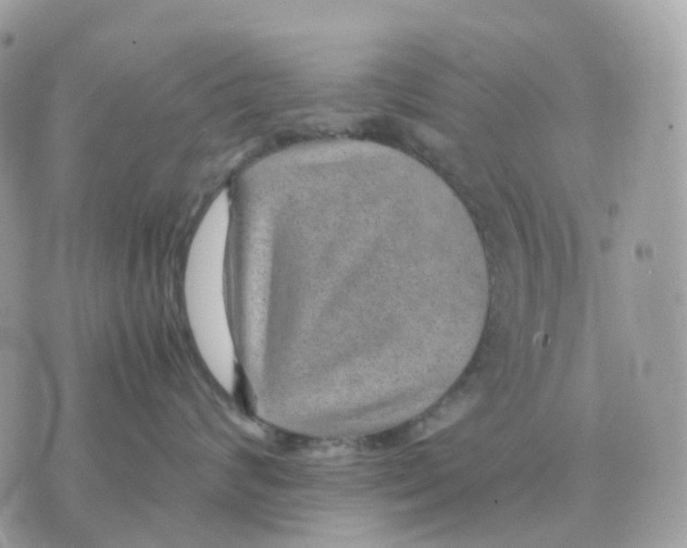 X0000070370624200607072130