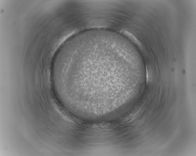 X0000070370627200607072129