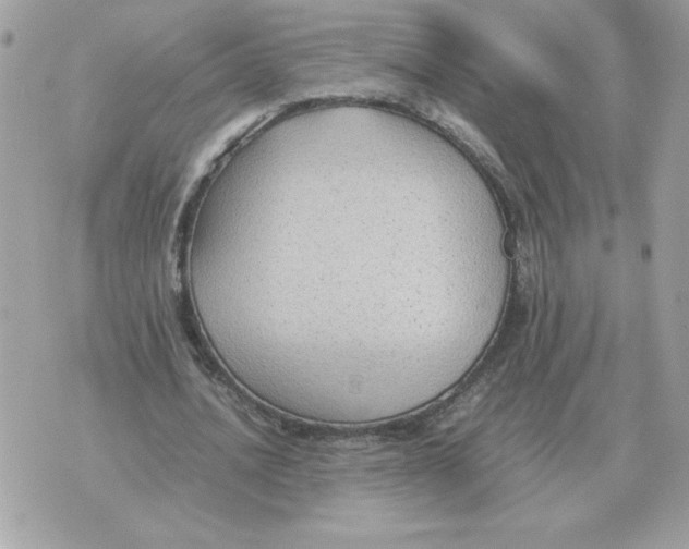 X0000070370628200607072129