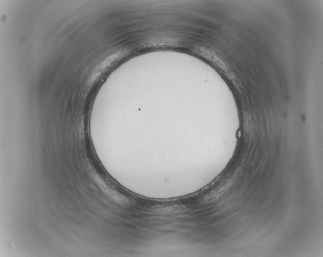 X0000070370629200607072129