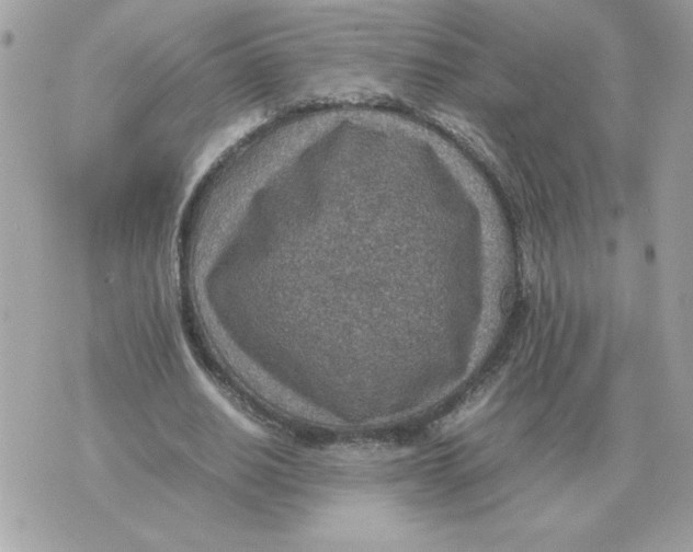 X0000070370630200607072129