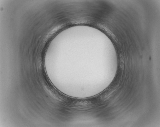 X0000070370631200607072129