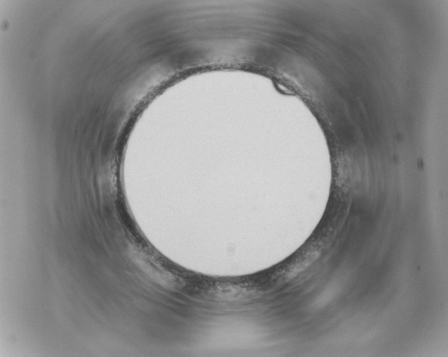 X0000070370632200607072129