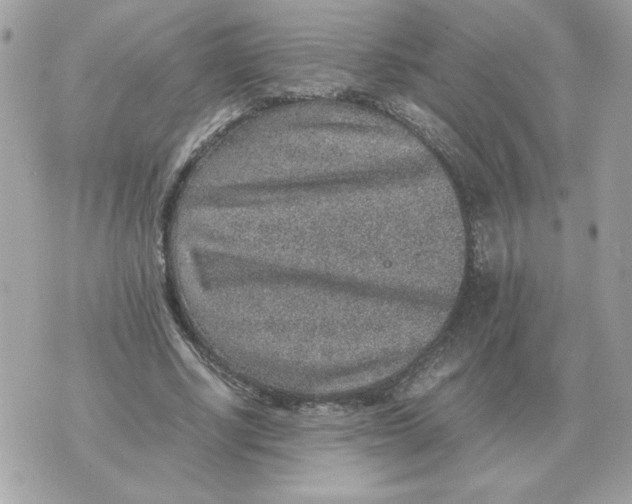 X0000070370634200607072129