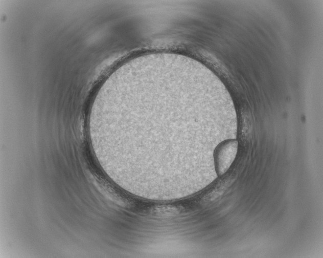 X0000070370636200607072129