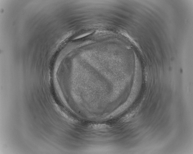 X0000070370637200607072129