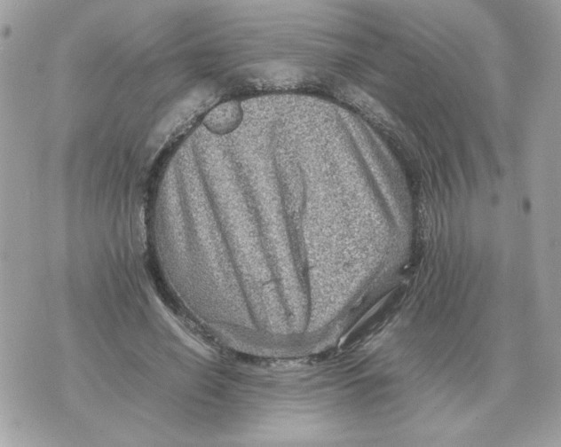 X0000070370638200607072129