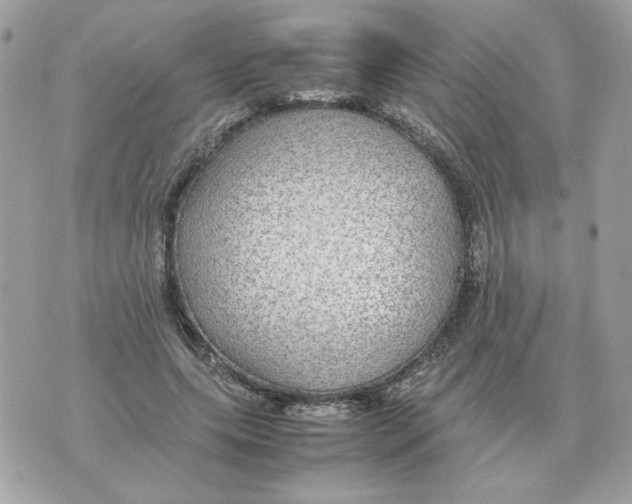 X0000070370639200607072129