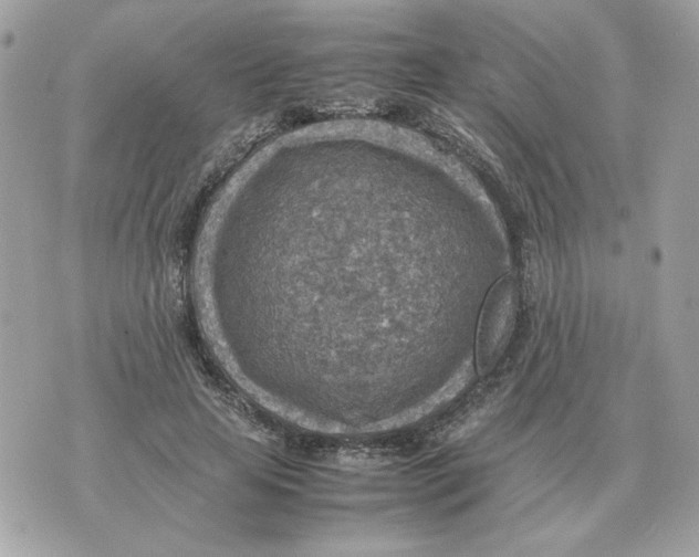 X0000070370641200607072129