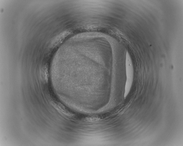 X0000070370644200607072129