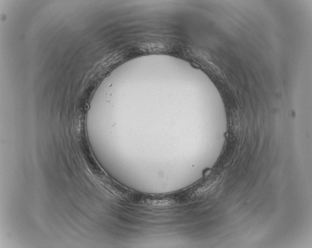 X0000070370645200607072129