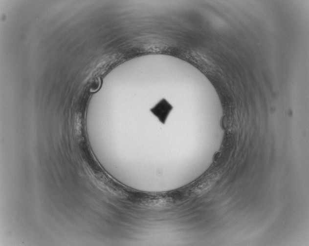 X0000070370646200607072129