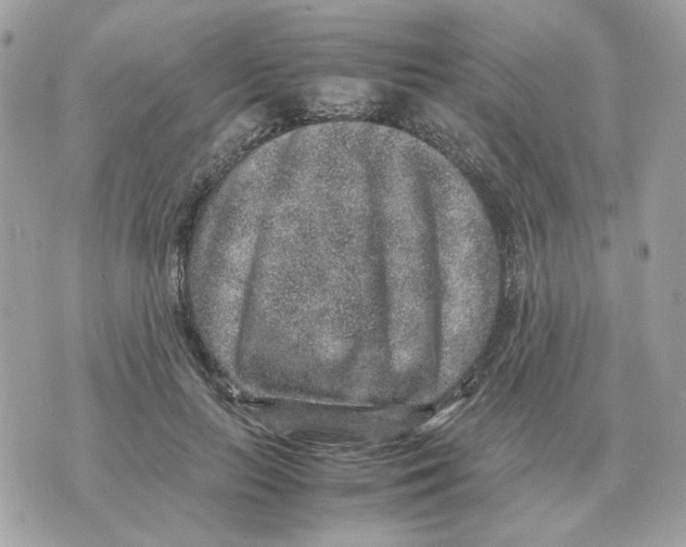 X0000070370647200607072129