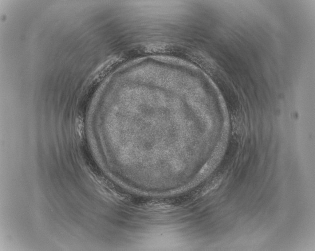 X0000070370648200607072129