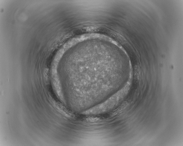 X0000070370650200607072129