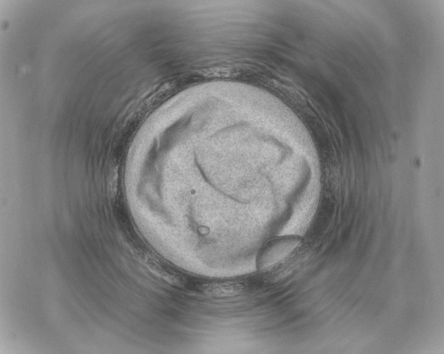 X0000070370652200607072130