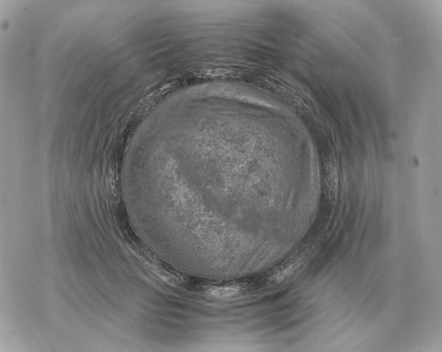 X0000070370653200607072130