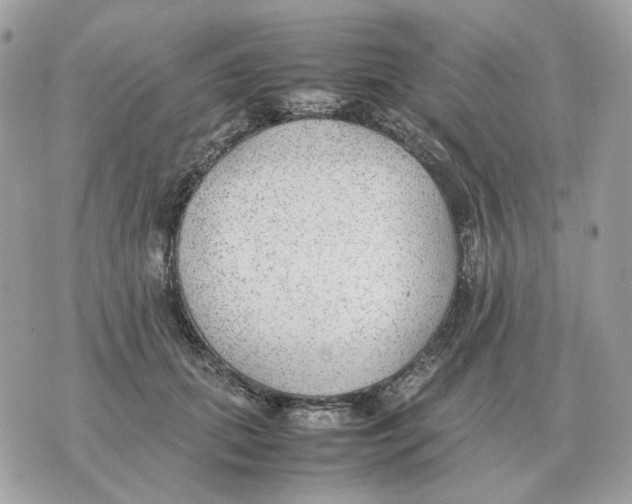 X0000070370655200607072130