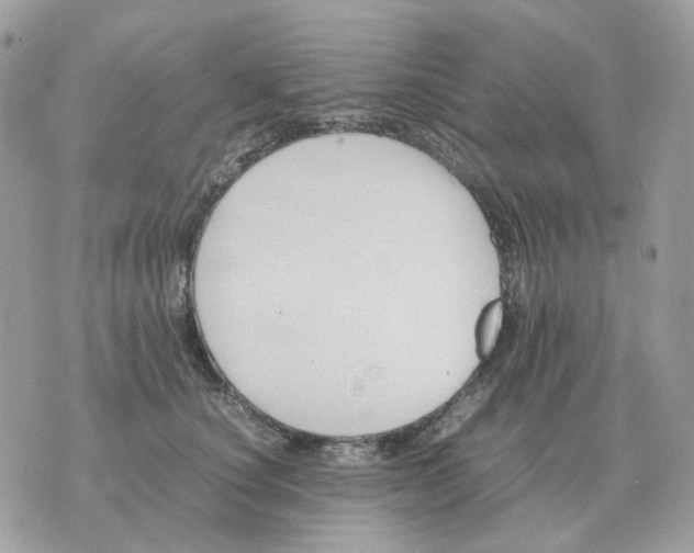 X0000070370660200607072130