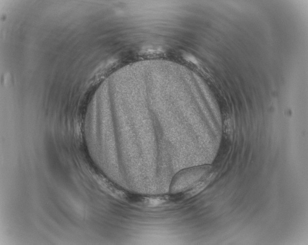 X0000070370662200607072130