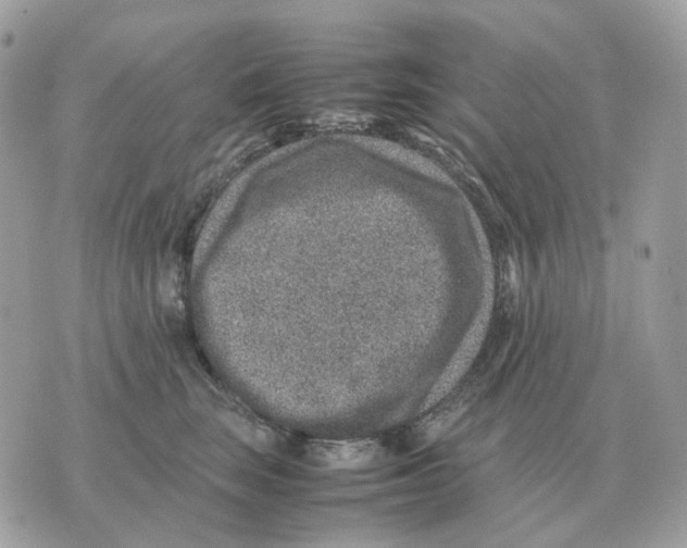 X0000070370663200607072130