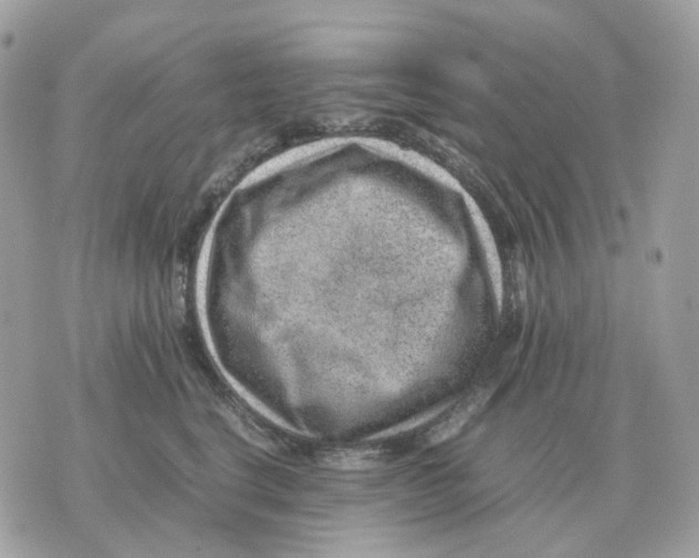 X0000070370664200607072130