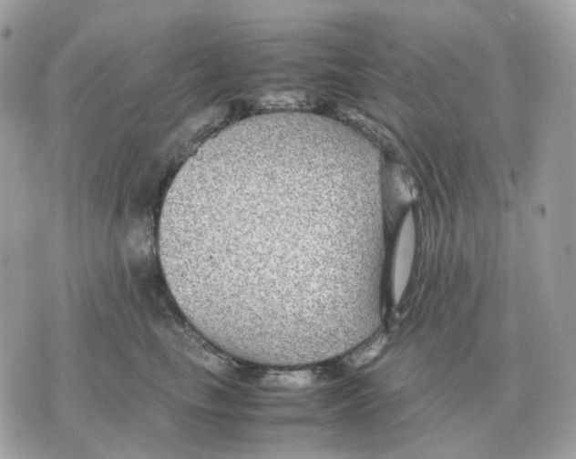 X0000070370665200607072130