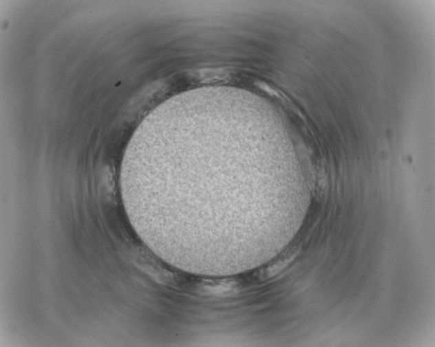 X0000070370667200607072130