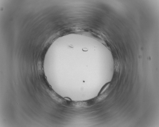 X0000070370670200607072130