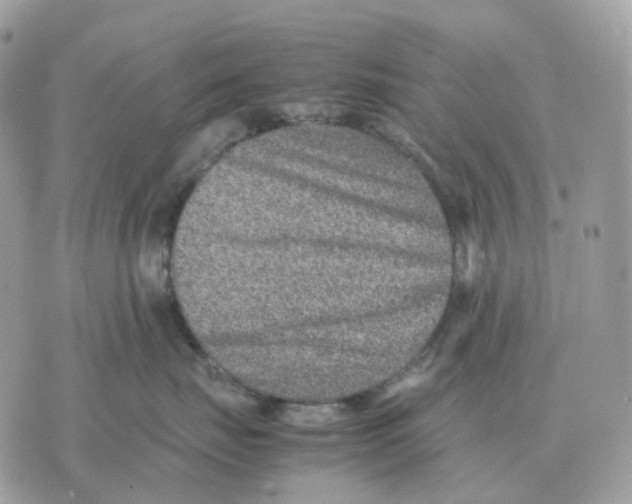 X0000070370671200607072130