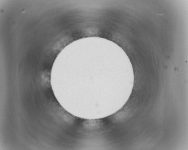 X0000070370672200607072130