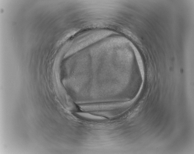 X0000070370673200607072129