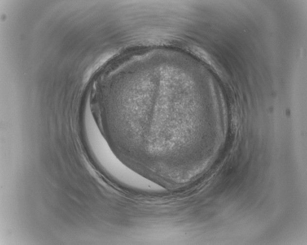 X0000070370677200607072129