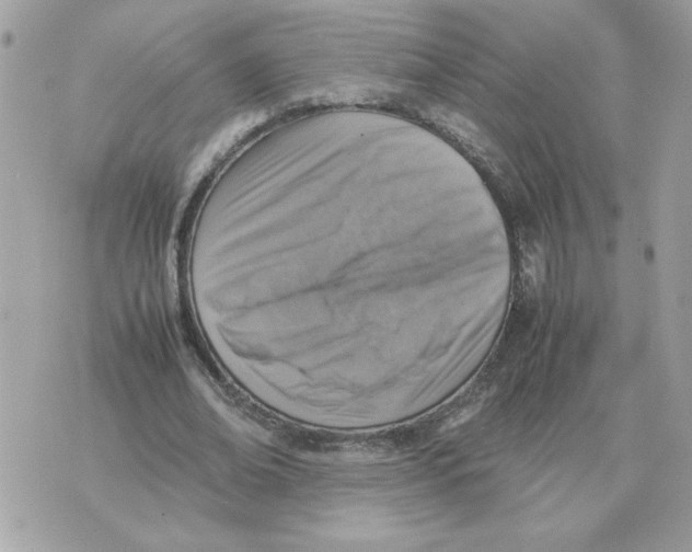 X0000070370678200607072129