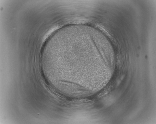 X0000070370679200607072129