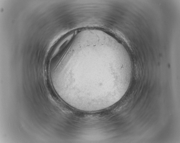 X0000070370680200607072129