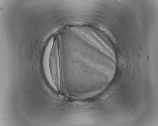 X0000070370681200607072129