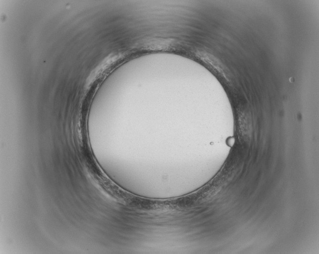 X0000070370682200607072129