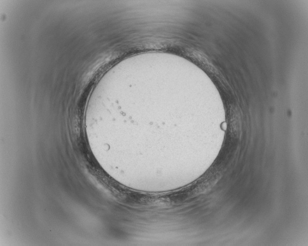 X0000070370683200607072129