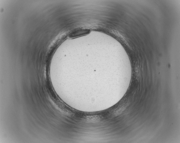 X0000070370686200607072129