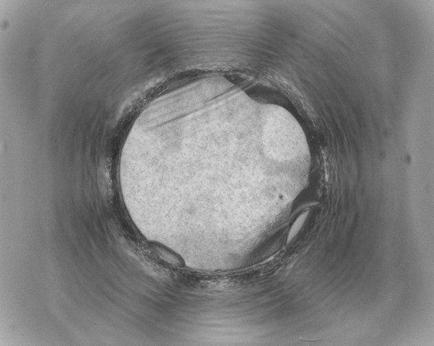 X0000070370688200607072129