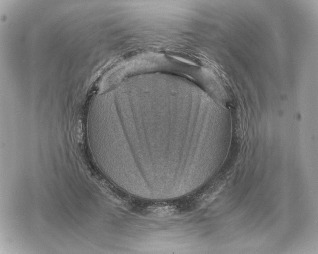 X0000070370689200607072129