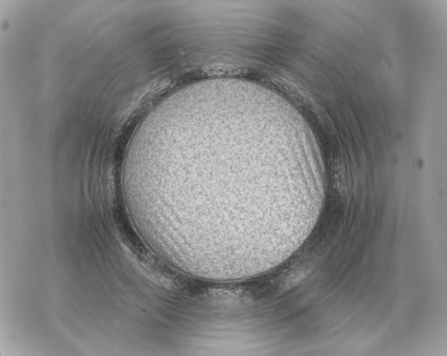 X0000070370690200607072129