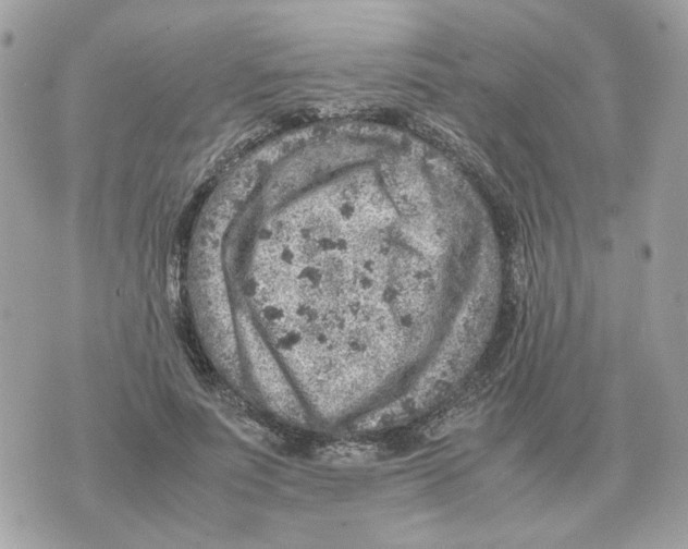 X0000070370691200607072129