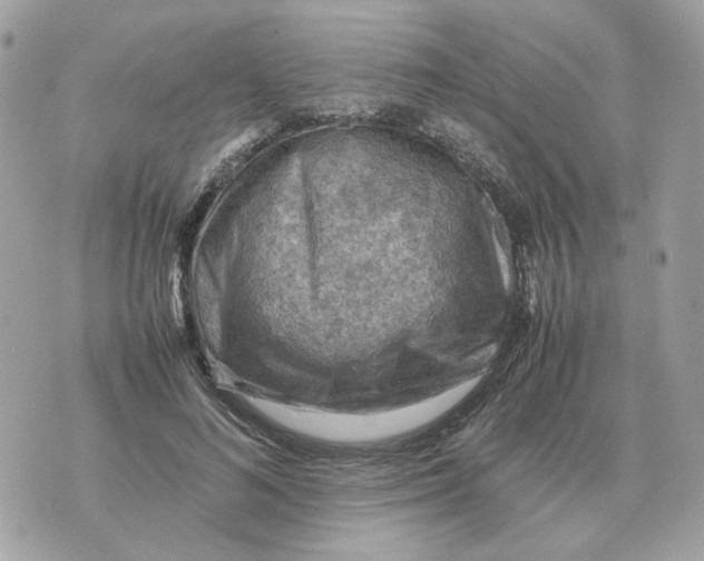 X0000070370692200607072129