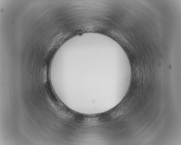 X0000070370694200607072129